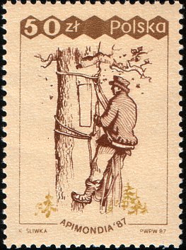 (1987-037) Марка Польша &quot;Собиратель меда&quot;    31-й Всемирный конгресс пчеловодства, Варшава III Θ