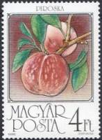 (1986-050) Марка Венгрия "Персики"    Фрукты II Θ