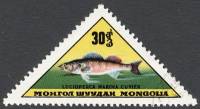 (1962-033) Марка Монголия "Судак"    Пресноводные и морские рыбы III Θ