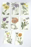 -- Набор марок Оман 8 шт.  Гашёные , III Θ