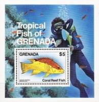 (№1984-126) Блок марок Гренада 1984 год "Испанский Hogfish Bodianus Руфус", Гашеный