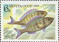 (1983-052) Марка СССР "Смарида"   Промысловые рыбы III Θ