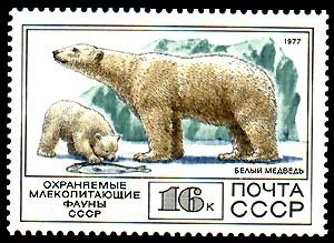 1977-104  Квартблок СССР Белый медведь  Фауна III O