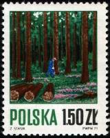 (1971-020) Марка Польша "Вырубка леса"    Лесное хозяйство III Θ