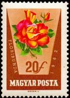 (1962-042) Марка Венгрия "Розовая роза"    Розы II Θ