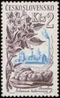 (1961-051) Марка Чехословакия "Картофель"    Сельскохозяйственная продукция III Θ