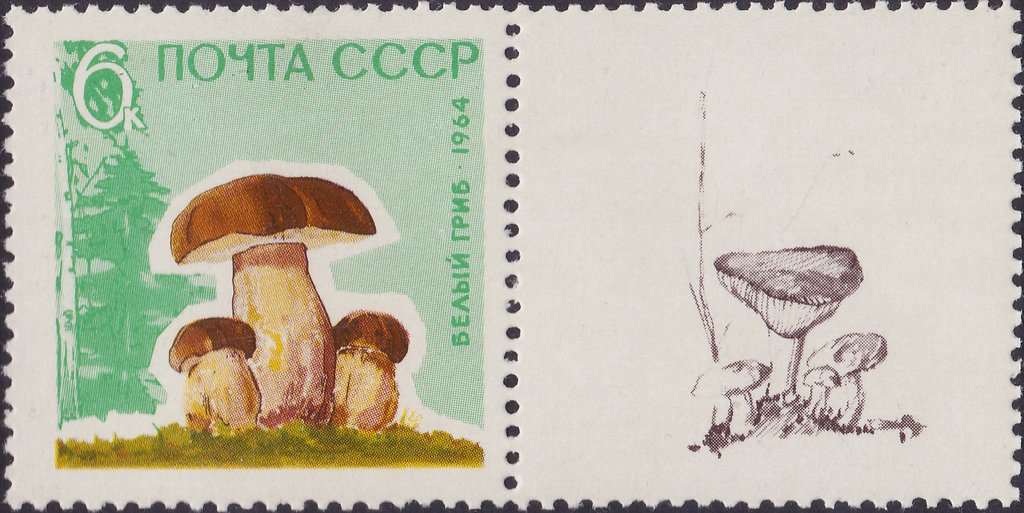 (1964-152-156) Серия Набор марок с купонами (5 шт) СССР     Грибы III O