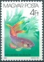 (1987-005) Марка Венгрия "Афиосемионы"    Декоративные рыбки I Θ
