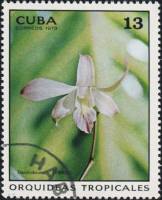 (1973-022) Марка Куба "Дендробиум"    Орхидеи III Θ