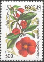 1997-001 Марка Россия Айва  Флора. Декоративные кустарники России III O