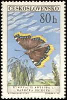 (1961-066) Марка Чехословакия "Траурный Плащ"    Бабочки III O