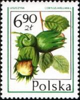 (1977-012) Марка Польша "Фундук"    Лесные ягоды III O