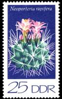 (1974-020) Марка Германия (ГДР) "Неопортерия Рапифера"    Кактусы III Θ