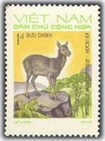 (1973-019) Марка Вьетнам "Кабарга"   Дикие животные III O