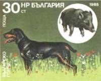 (1985-124) Марка Болгария "Болгарская гончая"   Охотничья собака II Θ