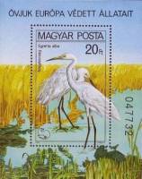 (1980-057) Блок Венгрия "Большая белая цапля"    Европейская природоохранная кампания "Защита жизни 