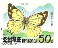 (1991-020) Марка Северная Корея "Желтушка степная"   Бабочки гор мира III Θ