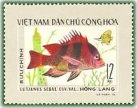 (1976-034) Марка Вьетнам "Луциан императорский"   Тропические рыбы III Θ