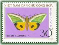 (1976-004) Марка Вьетнам "Зеленая плодовая моль"   Бабочки III Θ