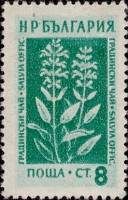(1953-035) Марка Болгария "Шалфей"   Лекарственные растения Болгарии (1) III O