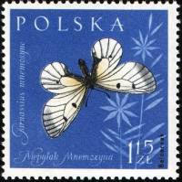 (1961-066) Марка Польша "Мнемозина"   Насекомые II Θ