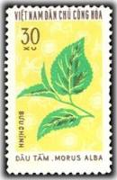 (1974-025) Марка Вьетнам "Пивное дерево"   Промышленные растения III Θ