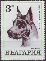 (1970-052) Марка Болгария "Немецкий дог"   Собаки III O