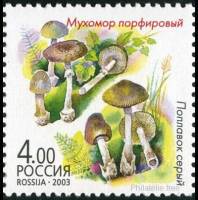 2003-062 Марка Россия Мухомор порфировый и поплавок серый  Грибы-двойники III O