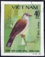 (1981-023) Марка Вьетнам "Императорский голубь"    Голуби III O
