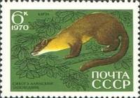 1970-072 Марка СССР Куница харза  Сихотэ-Алинский заповедник, 35 лет III Θ