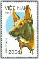 (1989-090a) Марка Вьетнам "Андалузская гончая"  Без перфорации  Собаки III Θ