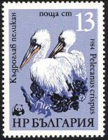 (1984-073) Марка Болгария "Пеликан (2)"   Всемирная охрана природы III Θ