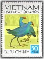 (1972-025) Марка Вьетнам "Малая султанка"   Птицы III O