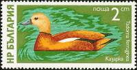 (1976-017) Марка Болгария "Огарь"   Водоплавающие птицы III Θ