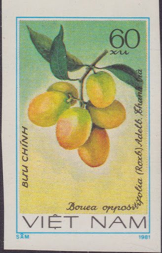 (1981-042a) Марка Вьетнам &quot;Гандария&quot;  Без перфорации  Фрукты III O