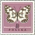 (1967-064) Марка Польша "Пестроглазка галатея"   Бабочки III Θ