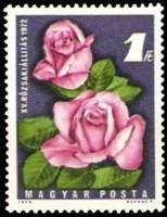 (1972-037) Марка Венгрия "Розы"    15-я национальная выставка роз II Θ