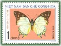 (1976-008) Марка Вьетнам "Эрибея"   Бабочки III Θ
