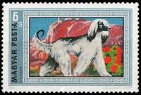 (1972-019) Марка Венгрия "Афганская длинношерстная" ,  III O