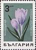 (1968-015) Марка Болгария "Шафран велухский"   Горные цветы III O