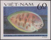 (1982-082) Марка Вьетнам "Брахирус"    Камбала III Θ