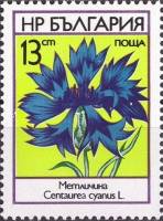 (1973-028) Марка Болгария "Василек "    Полевые цветы III Θ