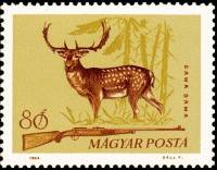 (1964-096) Марка Венгрия "Лань"    Охота III Θ