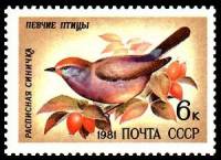 1981-076 Марка СССР Расписная синичка  Певчие птицы III O