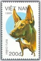 (1989-090) Марка Вьетнам "Андалузская гончая"    Собаки III Θ