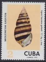 (1973-081) Марка Куба "Гунтарта"    Раковины молюсков III O