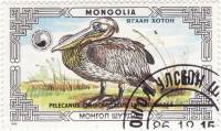 (1986-067) Марка Монголия "Розовый пеликан"    Охраняемые животные: пеликаны III Θ
