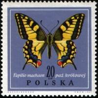 (1967-058) Марка Польша "Махаон"   Бабочки II Θ