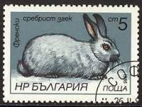 (1986-010) Марка Болгария "Французский серебряный кролик"   Зайцы и кролики III Θ