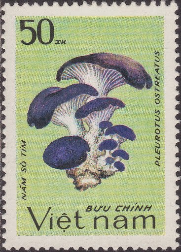 (1983-089a) Марка Вьетнам &quot;Вёшенка обыкновенная&quot;  Без перфорации  Грибы III Θ